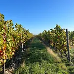 La Grange D'elise *