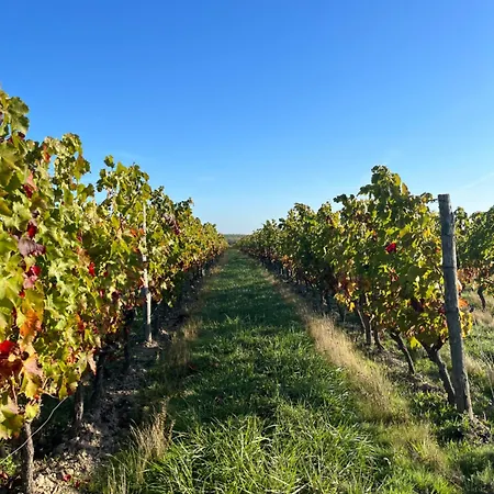 La Grange D'elise *