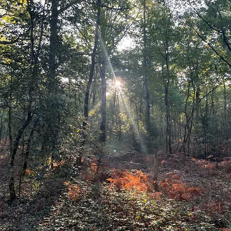 La Grange D'elise * Moze-sur-Louet