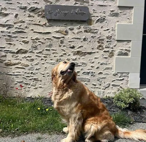 Hébergement de vacances La Grange D'elise Moze-sur-Louet