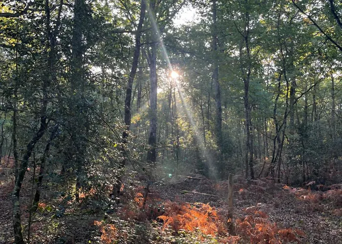 La Grange D'elise * Moze-sur-Louet